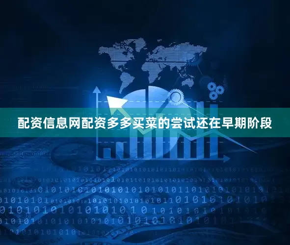配资信息网配资多多买菜的尝试还在早期阶段