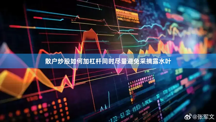 散户炒股如何加杠杆同时尽量避免采摘露水叶