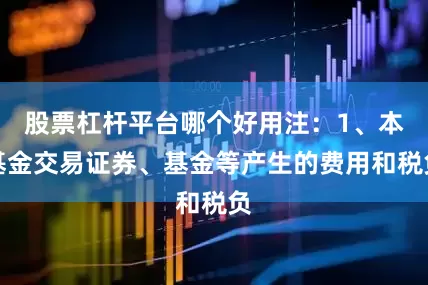 股票杠杆平台哪个好用注:1、本基金交易证券、基金等产生的费用和税负